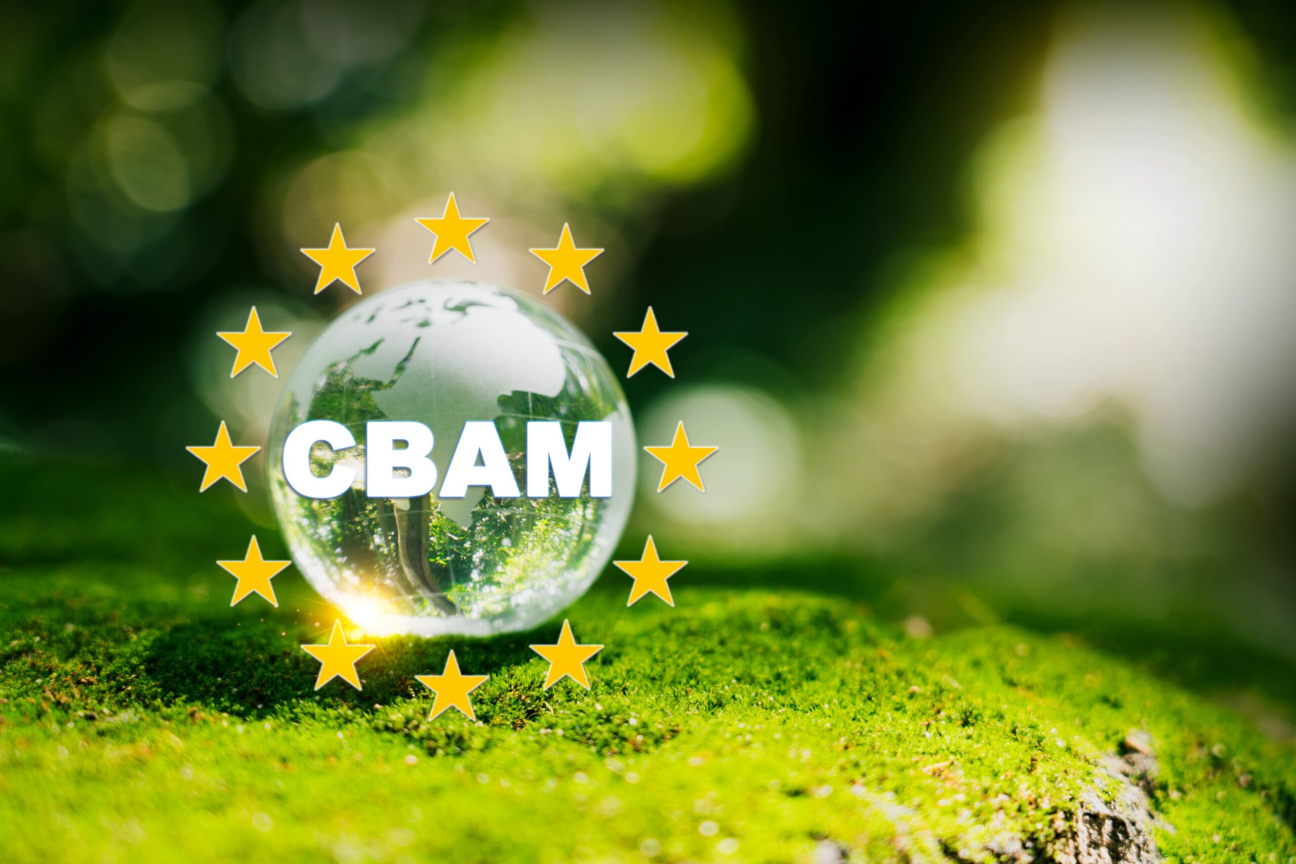 Understanding CBAM: A Comprehensive Guide for European Importers of Goods