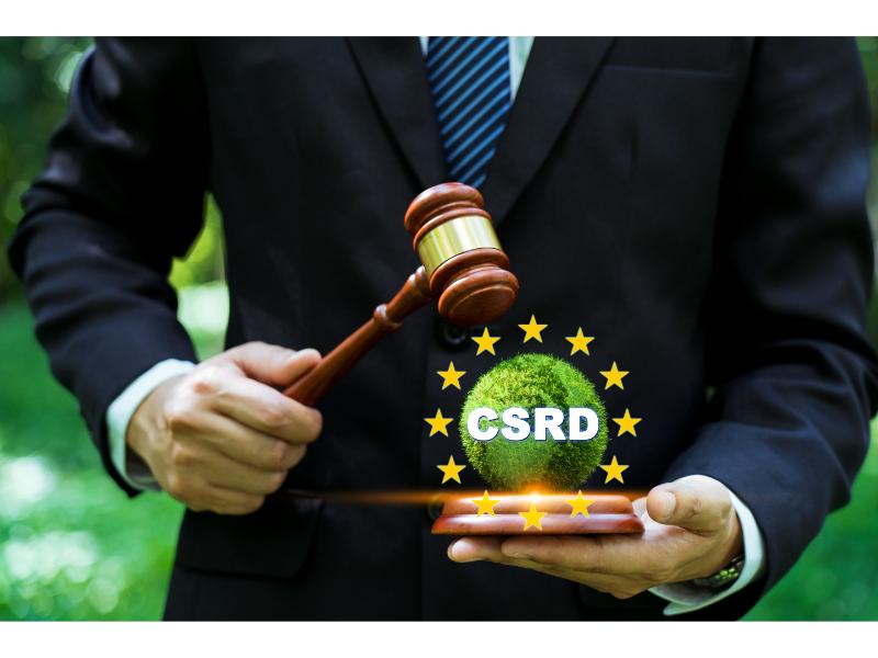 Csrd Regulation Changes