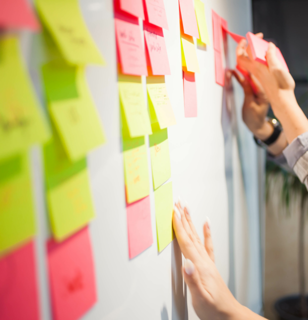 Supply Chain Assessments